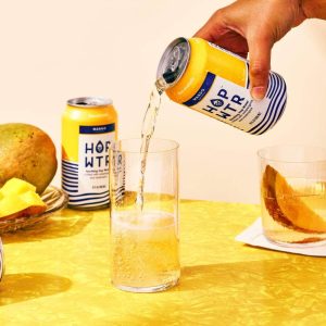 Summer Sippers | 24-Pack